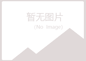 青山区夏日建设有限公司